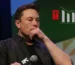 Tesla Faces Sharp Profit Drop as Musk's Government Ties Stir Controversy